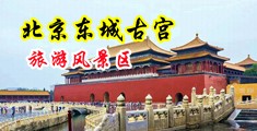 黑丝打炮中国北京-东城古宫旅游风景区